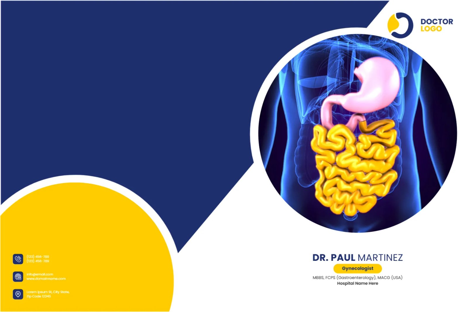 Gastroenterologist Document Folder Template